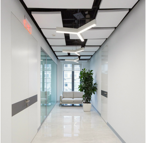 modern-office-hallway-with-ceiling-lights-sofa-and-indoor-plant-About kolmaflor Corporate Finance Advisors